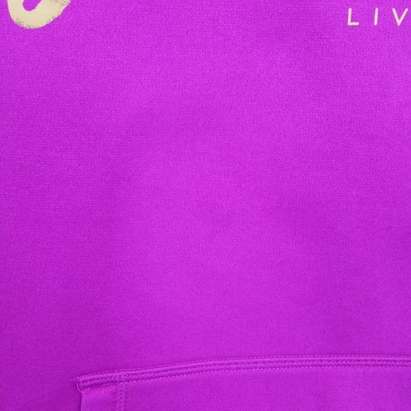 NIKE Be Invincible Therma Fit Hoodie Sweatshirt - Picture 12 of 12